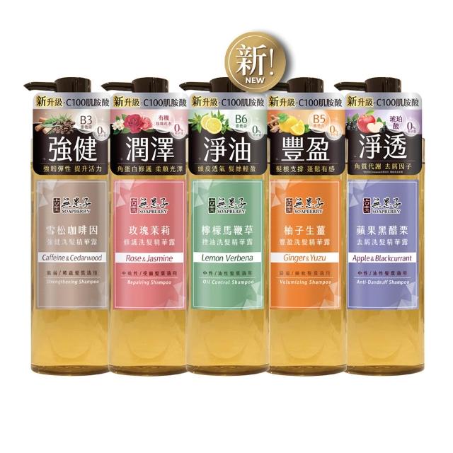 滿 折 【 古 寶 無 患 子 】 瓶 入 成 分 升 級 新 上 市 - 無 矽 靈 洗 髮 精 露 g ( 強 健 髮 根 / 豐 盈 髮 絲 / 潤 澤 柔 順 / 控 油 去 屑 )